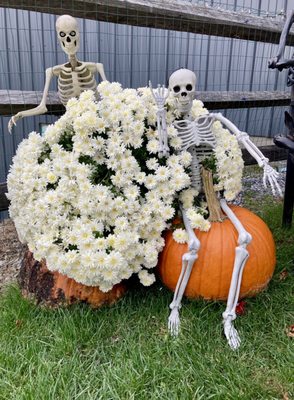 Balderdash Cellars by null