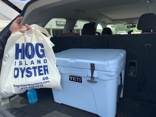 Hog Island Larkspur by null