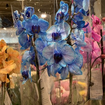 Metro - I love the array of colours of the orchids offered at the Metro this morning. - Bakeries Near Me - Kanata, Ontario