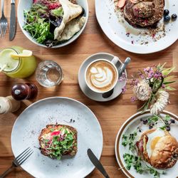 Earthy Eats
