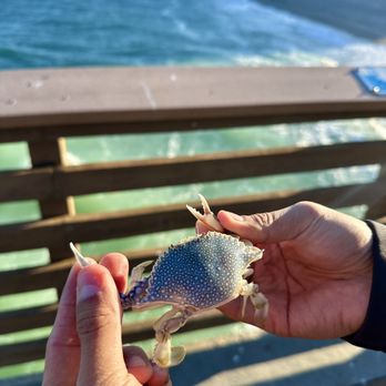 Juno Beach Pier - Landmarks & Historical Buildings Near Me - Juno Beach, Florida