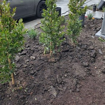 Lobo Landscape and Maintenance - a lot of dirt - Landscaping Near Me Lobo Landscape and Maintenance - a lot of dirt - Landscaping Near Me