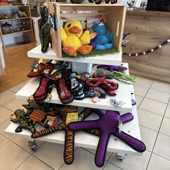 Drooling Dog Bakery - Toys - Pet Stores Near Me - Fort Myers, Florida