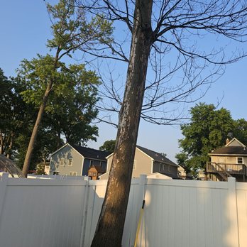 Jesus Tree Expert - Tree Services Near Me - Kenilworth, New Jersey Jesus Tree Expert - Tree Services Near Me - Kenilworth, New Jersey