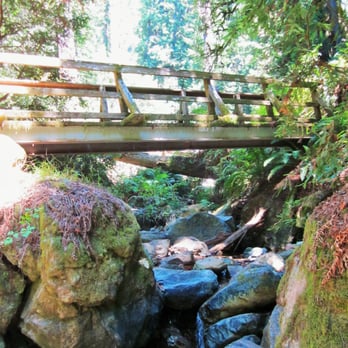 Matt Davis-Steep Ravine Loop - Steep ravine trail - Hiking Near Me - Stinson Beach, California Matt Davis-Steep Ravine Loop - Steep ravine trail - Hiking Near Me - Stinson Beach, California
