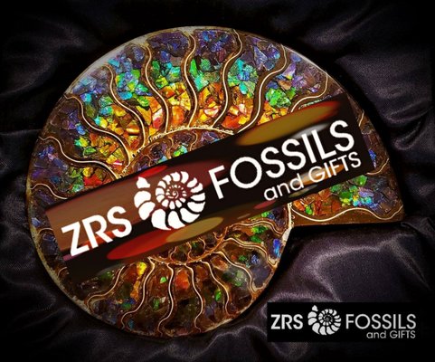 ZRS Fossils & Gifts by null