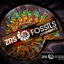 ZRS Fossils and Gifts