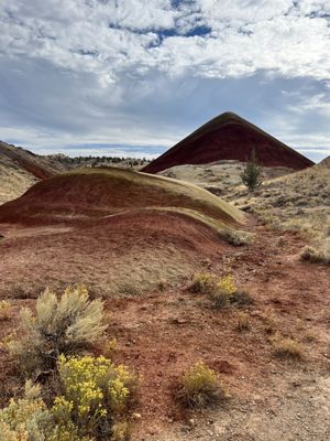 John Day Fossil Beds National Monument by null