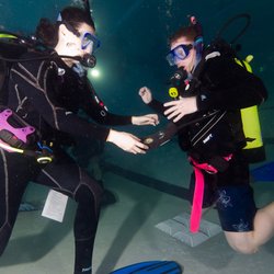 Aquatic Adventures - Open Water training