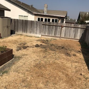 Luis Gardening - a back yard with a fenced in area - Tree Services Near Me Luis Gardening - a back yard with a fenced in area - Tree Services Near Me