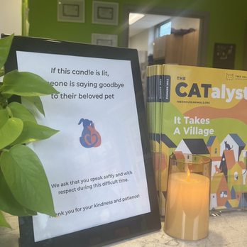Tree House Humane Society - "If this candle is lit, someone is saying goodbye to their beloved pet." - Animal Shelters Near Me - Chicago, Illinois Tree House Humane Society - "If this candle is lit, someone is saying goodbye to their beloved pet." - Animal Shelters Near Me - Chicago, Illinois