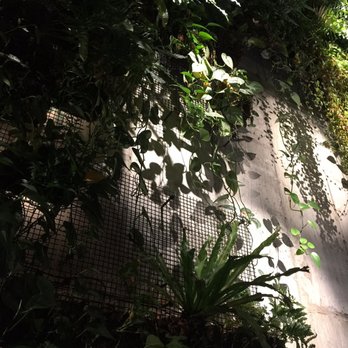 The Osprey - Australian Near Me - Brooklyn, New York