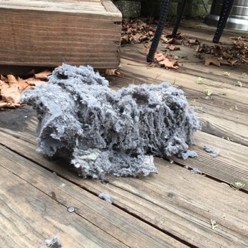Delta Dryer Vent Cleaning - Lint plug Mark and his son removed for us! - Air Duct Cleaning Near Me Delta Dryer Vent Cleaning - Lint plug Mark and his son removed for us! - Air Duct Cleaning Near Me