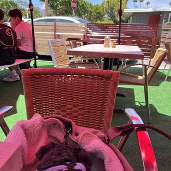 Shorehouse Kitchen - Coffee & Tea Near Me - La Jolla, California