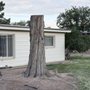 Robert's Tree Service