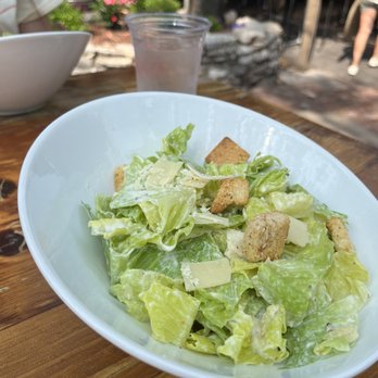 MOLLY’S IN SOULARD - Updated August 2024 - 358 Photos & 372 Reviews - 816 Geyer Ave, St. Louis