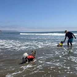 Morro Bay Dog Beach