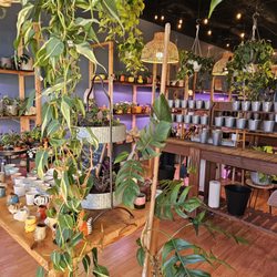 Lets Plant It - Inside entrance