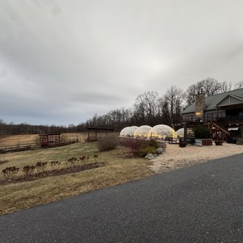 Red Heifer Winery - Wineries Near Me - Smithsburg, Maryland Red Heifer Winery - Wineries Near Me - Smithsburg, Maryland