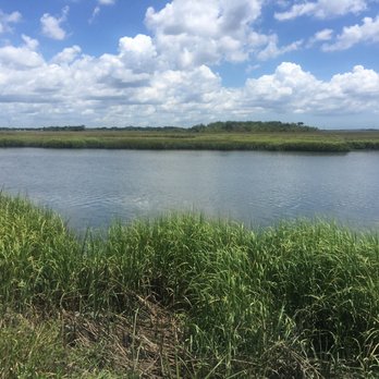 Marshside Grill - The view from Marshside Grill - Seafood Near Me - Brunswick, Georgia