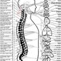 Photo of Rabines Chiropractic