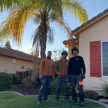 Easy Stumps Tree Services - Tree Services Near Me - Folsom, California