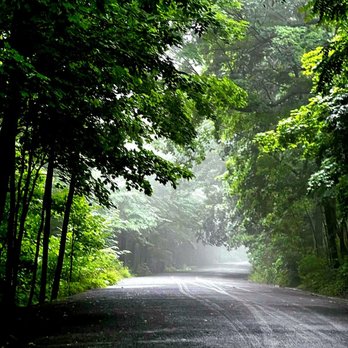 Parc du Mont-Royal - The trail - Parks Near Me - Montreal, Quebec