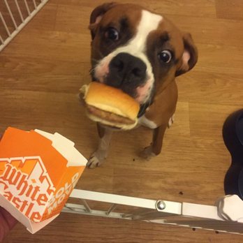 White Castle - Burgers Near Me - Scottsdale, Arizona White Castle - Burgers Near Me - Scottsdale, Arizona