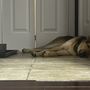 Photo of Seacoast Lucky Dog Daycare