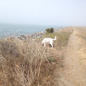 King Salmon Beach - Holly takes a walk on King Salmon Beach - Hiking Near Me - Eureka, California