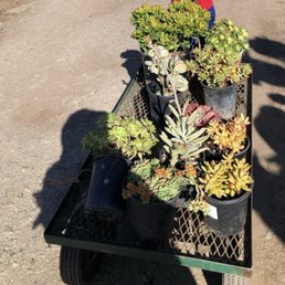 My haul My haul