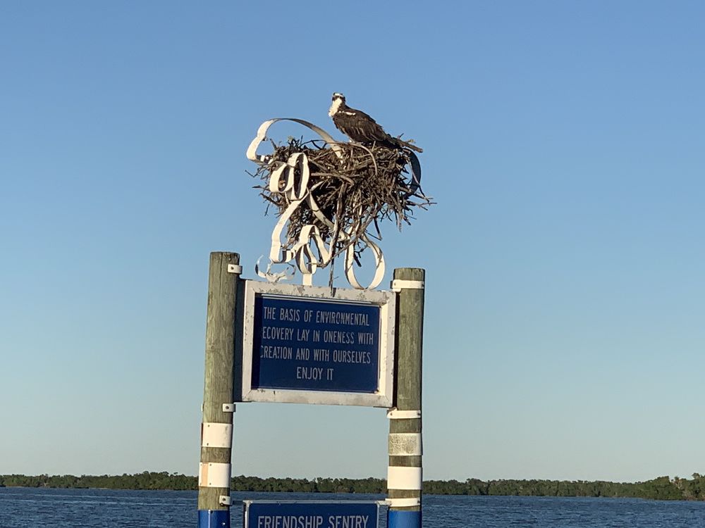 ESTERO BAY EXPRESS DOLPHIN & SUNSET BOAT TOURS 34 Photos & 31 Reviews