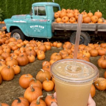Willow View Farms - I came to try their apple cider slushie! tastes like an apple juice slushie to me. - Farmers Market Near Me - Abbotsford, British Columbia Willow View Farms - I came to try their apple cider slushie! tastes like an apple juice slushie to me. - Farmers Market Near Me - Abbotsford, British Columbia