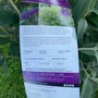 Photo of Sollecito Landscaping Nursery