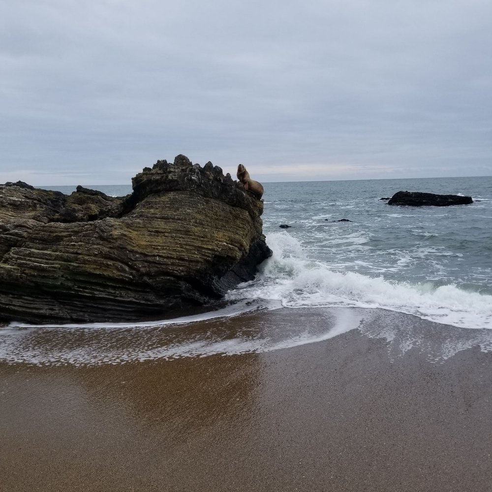 Sculptured Beach - Beaches Near Me - Point Reyes Station, California Sculptured Beach - Beaches Near Me - Point Reyes Station, California