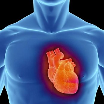 Heart Fit Clinic - Cardiologists Near Me - Calgary, Alberta Heart Fit Clinic - Cardiologists Near Me - Calgary, Alberta
