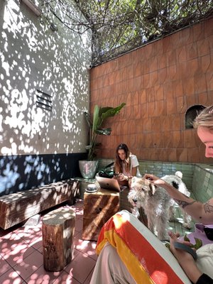 CAFE NIDO: Coffee & Books by null
