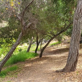 Felicita County Park - Parks Near Me - Escondido, California