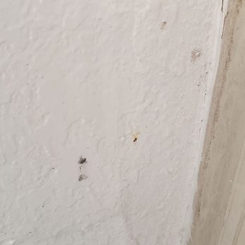 Quality Inn & Suites Arnold - St Louis - new black mold on wall - Hotels Near Me - Arnold, Missouri Quality Inn & Suites Arnold - St Louis - new black mold on wall - Hotels Near Me - Arnold, Missouri