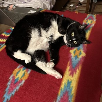 PURRology SPaw and Retreat - Relax? Yes - Pet Groomers Near Me - Santee, California PURRology SPaw and Retreat - Relax? Yes - Pet Groomers Near Me - Santee, California