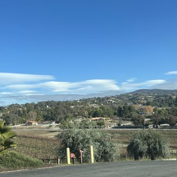 Cougar Vineyard & Winery - Nice view - Wineries Near Me - Temecula, California