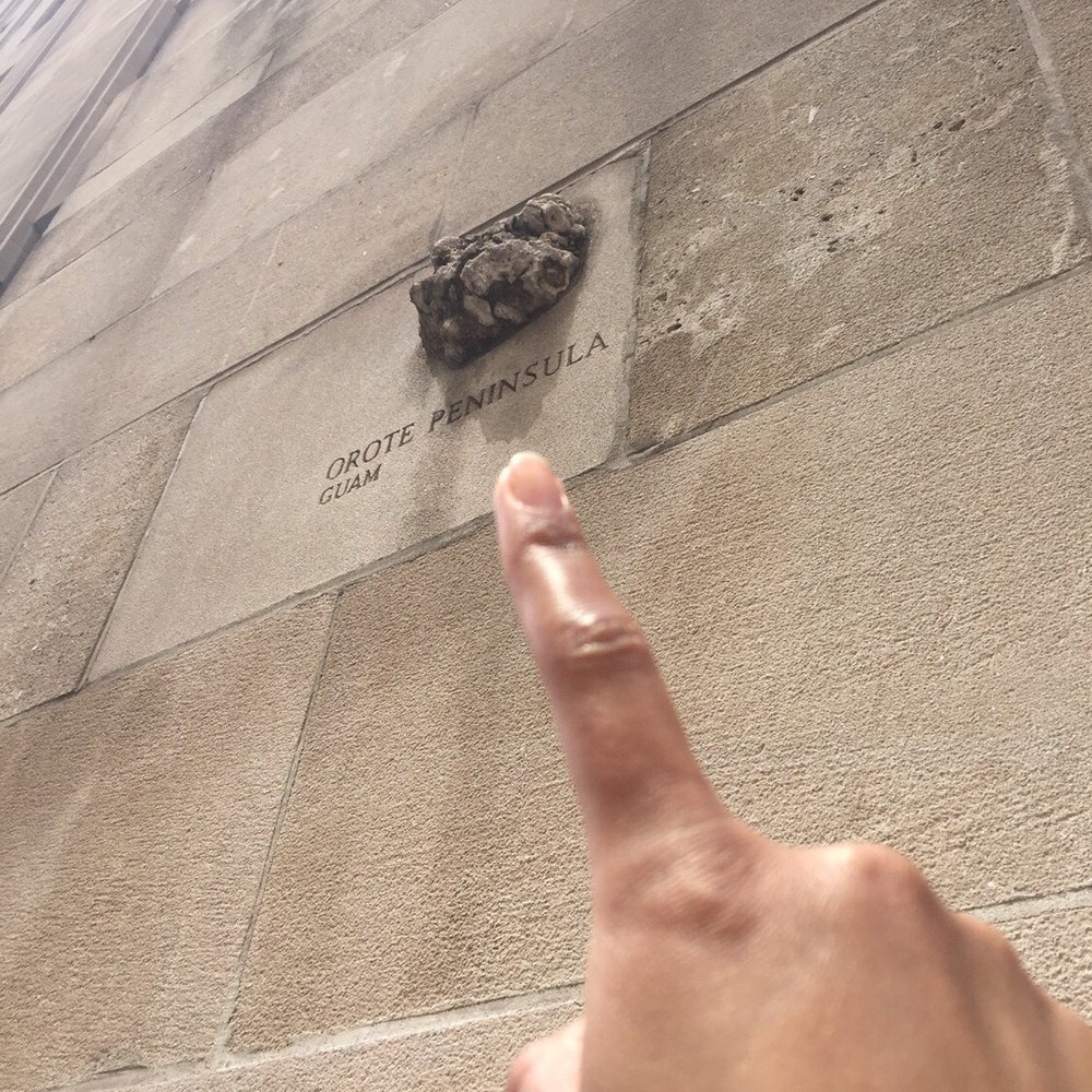 Tribune Tower - Local Flavor Near Me - Chicago, Illinois Tribune Tower - Local Flavor Near Me - Chicago, Illinois