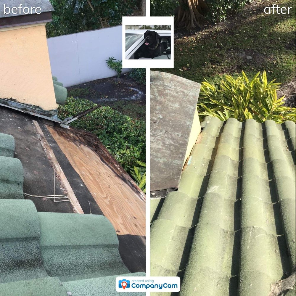 Slide of Blue Dog Roofing & Construction