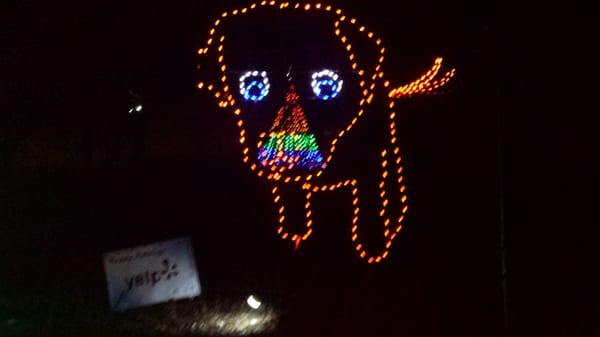 Olin park madison wi christmas lights