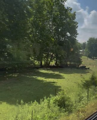 Virginia Scenic Railway by null