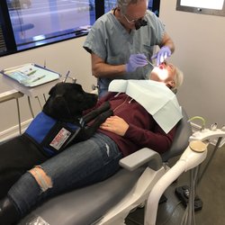 Viken Garabedian, DDS - Our service dog help the patient Relax