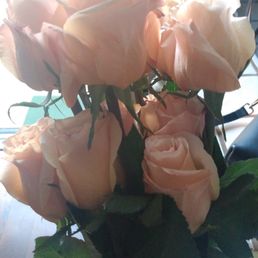 Lovely COLOR: so soft. Lovely COLOR: so soft.