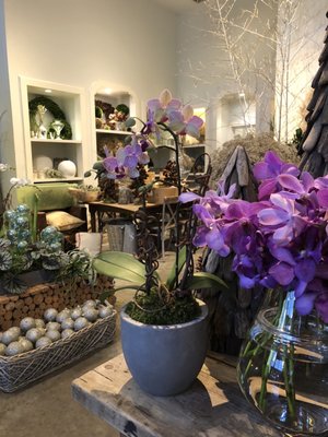 Le Jardin Français Boutique by null