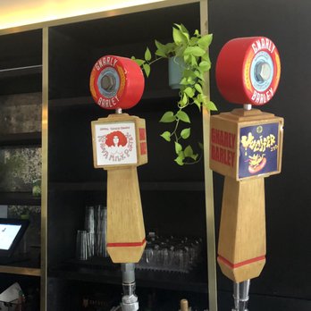 Capulet - Yummy beers from Gnarley Barley and one of many cute plants. - Sandwiches Near Me - New Orleans, Louisiana