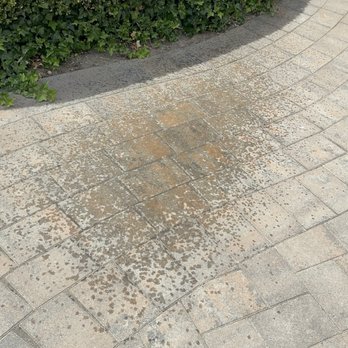 FG Pavers and Turf - Sealer applied contrary to manufacture directions. They need to take up the Pavers re-cut them and do it again. - Landscaping Near Me FG Pavers and Turf - Sealer applied contrary to manufacture directions. They need to take up the Pavers re-cut them and do it again. - Landscaping Near Me